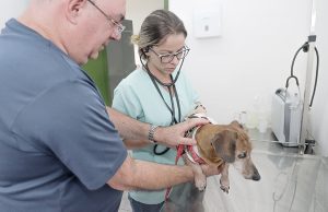 Hospitais veterinários de Osasco ultrapassam mais de 137 mil procedimentos em um ano