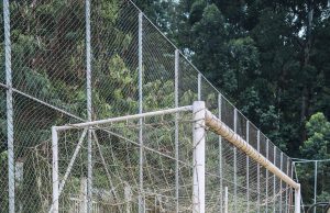 7 de Setembro e Eucaliptos ganharão campos com grama sintética