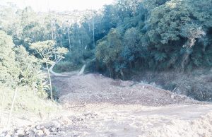 Rogério Lins diz que investigará responsabilidades sobre descarte irregular de terra no Parque Ecológico