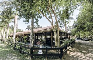 Parques de Osasco recuperam lagos e áreas verdes, além de novos equipamentos de lazer