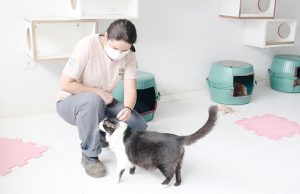 Barueri recebe prêmio internacional ‘Cidade Amiga dos Animais’