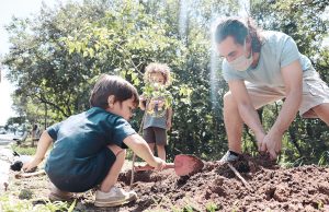 Árvores frutíferas são plantadas em pontos viciados de descarte de entulho em Carapicuíba