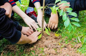 Semana do Meio Ambiente pretende conscientizar itapevienses sobre a importância de práticas sustentáveis