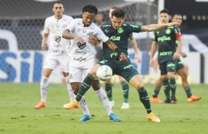 Novo líder do Brasileirão, Palmeiras recebe o Santos
