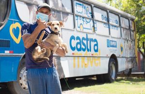 Inscrições para castração de cães e gatos em Itapevi são gratuitas e vão até o final de agosto