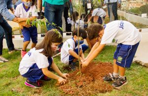 Jandira abre Primavera plantando mudas de árvores