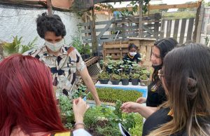 Estudantes visitam e conhecem processo de horta sustentável do Ceaso