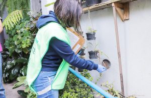 Núcleo de Controle de Zoonoses intensifica combate ao Aedes aegypti em Osasco