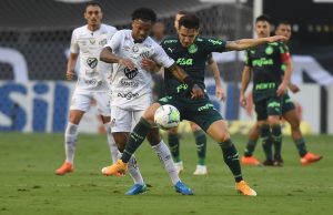 De olho no Galo, Palmeiras encara o ‘Peixe’ para manter chances de título do Brasileirão
