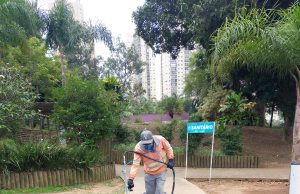Parque Municipal de Barueri recebe obras de revitalização nas pistas e no bosque