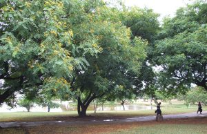 FALA, LEITOR: Parque dos Paturis ‘fecha’ por causa da chuva