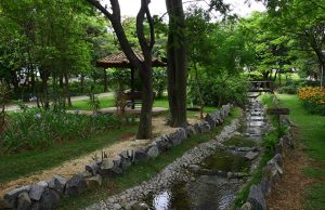 Parque Ecológico do Piratininga tem semana inteira de atividades gratuitas