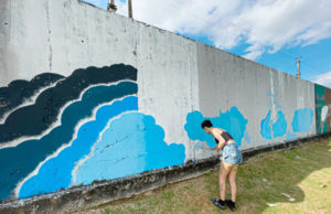 Itapevi finaliza Fase III da West Side Gallery