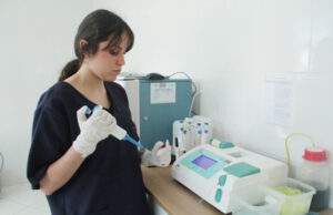 Animais domésticos têm ampliado serviço de atendimento clínico e de especialidades em Barueri