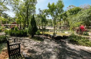 Atividades esportivas, de lazer e de educação ambiental fazem parte do programa ‘Férias no Parque’ em Osasco