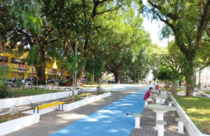 Brechós, plantas, comida natural e música fazem parte da Feira Verde Sustentável programada para Presidente Altino