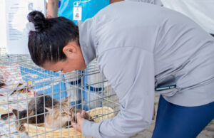 Nova edição da Feira de Cães e Gatos de Carapicuíba acontece no Novo Horizonte