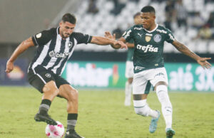 Palmeiras x Botafogo esquenta duelo pela liderança do Brasileirão 2023