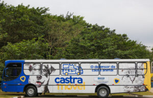 Inscrições para castração de pets podem ser feitas pelo site ou pessoalmente na Secretaria de Meio Ambiente de Itapevi