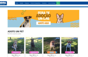 Cães e gatos poderão ser adotados de forma on-line pelo site da Prefeitura de Jandira