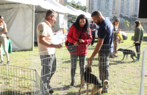 Sema de Barueri promove ‘Dia Animal’ neste final de semana