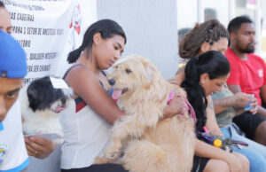 Barueri abre agendamento para castração gratuita de pets na próxima semana