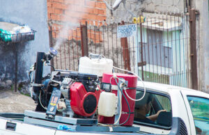 Rogério Lins diz que vai pedir vacinas contra a dengue ao Ministério da Saúde