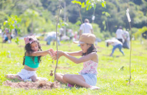 Prefeitura de Itapevi promove o plantio de mais de mil mudas de árvores na Cohab e revitaliza nascente d´água no Parque Wey