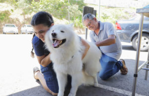 Posto fixo de vacinação contra raiva oferece 150 doses por semana a moradores de Barueri