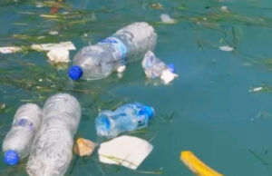 Casaviva Osasco exibe documentário ambiental gratuito sobre o plástico