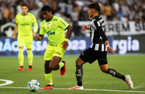 Botafogo e Palmeiras esquentam duelo pela liderança do Brasileirão 2024
