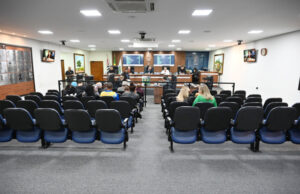 Quais as diferentes funções do prefeito e do vereador?