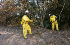 Para evitar incêndios, governo de São Paulo prorroga fechamento dos Parques Estaduais