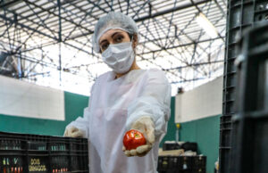 Agricultores familiares podem se inscrever em programa de aquisição de alimentos pela Prefeitura de Osasco