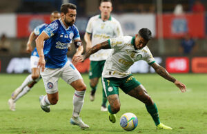 Botafogo em queda, Palmeiras em ascensão e Fortaleza ainda rugindo alto apimentam reta final do Brasileirão 2024