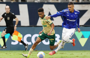 Palmeiras e Botafogo decidem em clássicos para quem vai a taça do Brasileirão 2024