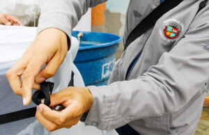 Mobilização de saúde e zeladoria em Itapevi pretende eliminar criadouros do mosquito da dengue em toda a cidade