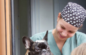 Campanha de castração de pets em Jandira terá distribuição de senhas no próximo dia 20 de fevereiro