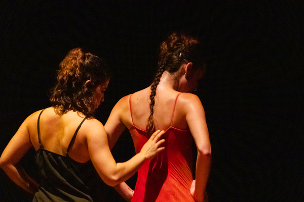 Variedades-Reflexa-Danca-2