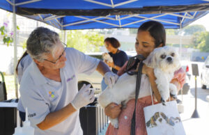 Zoonoses de Barueri promove vacinação especial antirrábica nos sábados de setembro