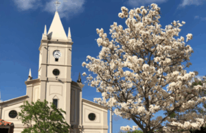 Projeto que declara Osasco e Cedro cidades-irmãs foi aprovado na Câmara e segue para sanção do Executivo