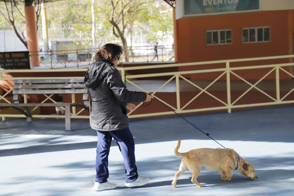 Barueri-Agendamento-Castra-1