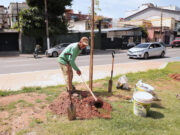 Praça no Jardim Belval recebe ação da Sema para o plantio de 35 novas mudas