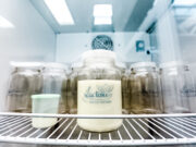 A fim de reforçar estoques, Itapevi promove campanhas de doação de leite humano e de sangue