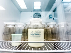 A fim de reforçar estoques, Itapevi promove campanhas de doação de leite humano e de sangue