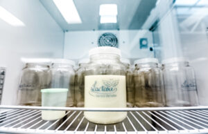 A fim de reforçar estoques, Itapevi promove campanhas de doação de leite humano e de sangue