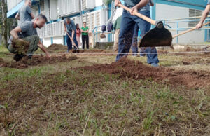 Jovens da Fundação CASA em Osasco criam e irão administrar hortas no centro socioeducativo