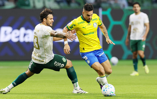 Palmeiras curte parada do Brasileirão 2026 líder e com taça simbólica assegurada