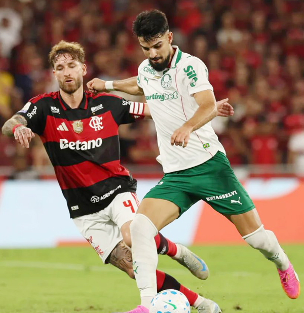 Esportes-Palmeiras-Flamengo