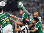 Palmeiras encara Botafogo com liderança do Brasileirão em jogo
